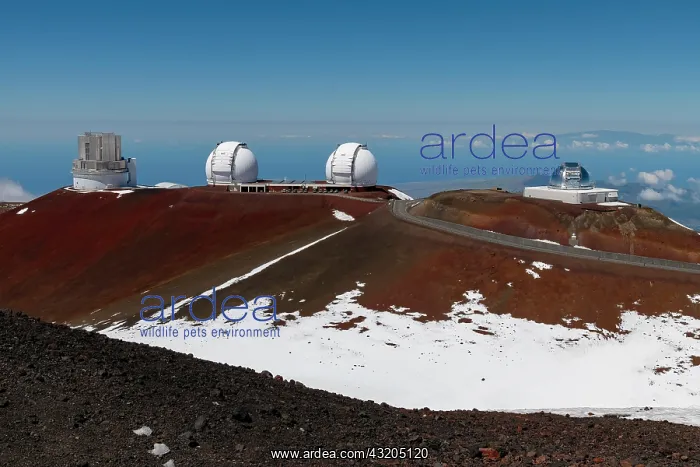 : Mauna Kea Gemini Observatory, Subaru Telescope : Mauna Kea Gemini Observatory, Subaru Telescope
