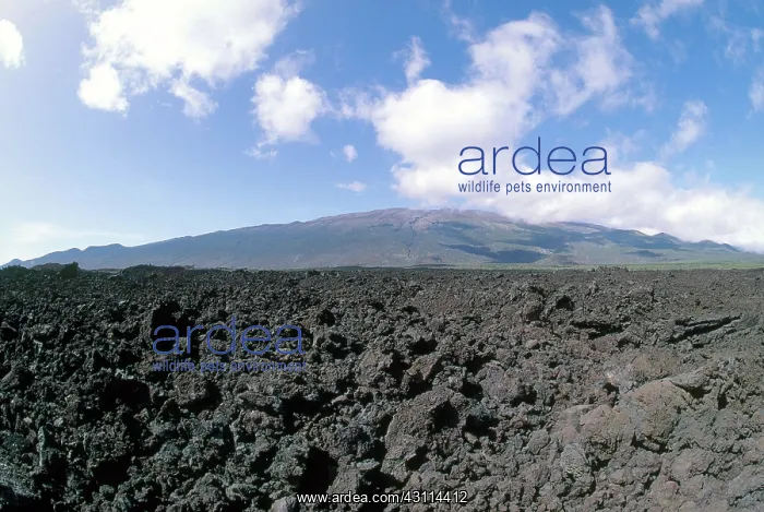 : Mauna Kea, Hawaii : Mauna Kea, Hawaii