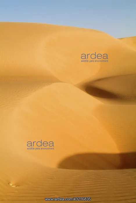 : Mauritania, Adrar, Amatlich, Dunes : Mauritania, Adrar, Amatlich, Dunes