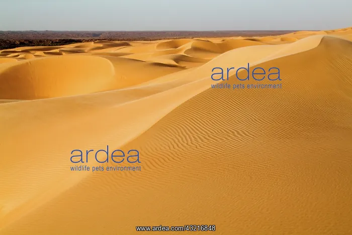  : Mauritania, Adrar, Amatlich, View of the