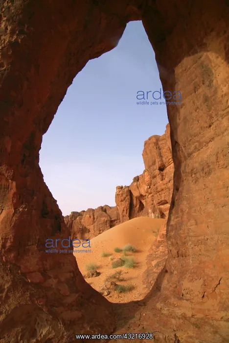 : Mauritania, El Makhlouga (Elephant rock) : Mauritania, El Makhlouga (Elephant rock)