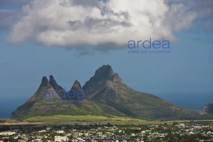 : Mauritius, Central Mauritius, Curepipe : Mauritius, Central Mauritius, Curepipe