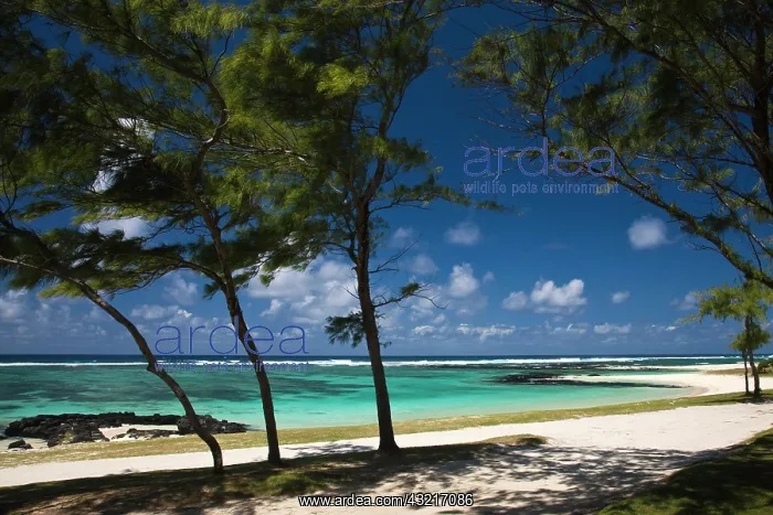 : Mauritius, Eastern Mauritius, Belle Mare : Mauritius, Eastern Mauritius, Belle Mare