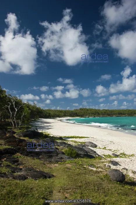 : Mauritius, Rodrigues Island, Anse Ally : Mauritius, Rodrigues Island, Anse Ally