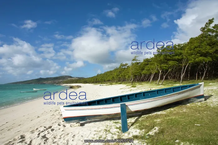 : Mauritius, Rodrigues Island, Anse Ally : Mauritius, Rodrigues Island, Anse Ally