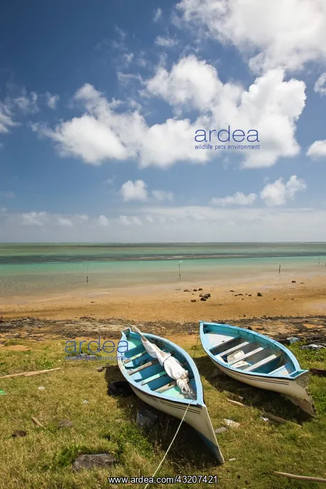 : Mauritius, Rodrigues Island, North Rodrigues : Mauritius, Rodrigues Island, North Rodrigues