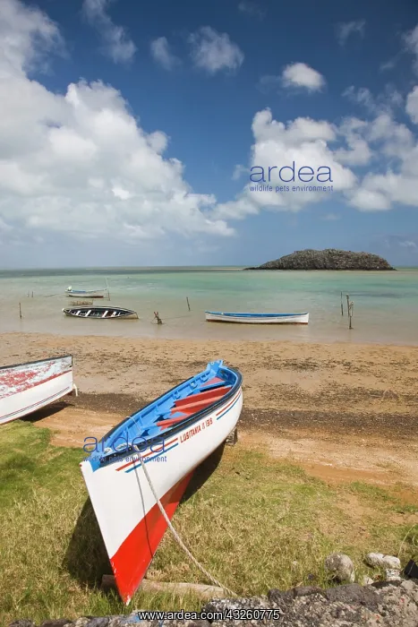 : Mauritius, Rodrigues Island, North Rodrigues : Mauritius, Rodrigues Island, North Rodrigues