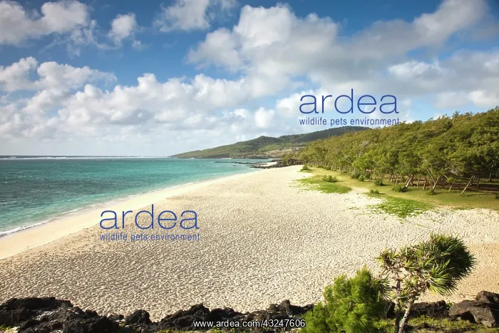 : Mauritius, Rodrigues Island, St. Francois : Mauritius, Rodrigues Island, St. Francois