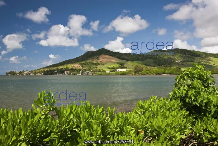 : Mauritius, Southern Mauritius, Grand Sable : Mauritius, Southern Mauritius, Grand Sable