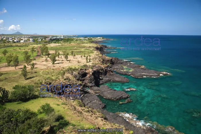  : Mauritius, Western Mauritius, Belle Vue
