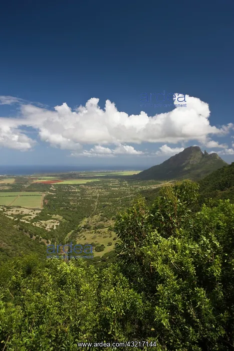 : Mauritius, Western Mauritius, Vacoas, view : Mauritius, Western Mauritius, Vacoas, view