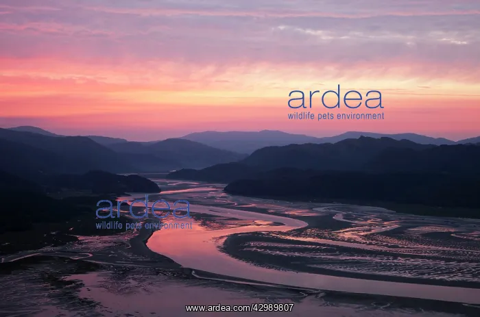 : Mawddach Estuary : Mawddach Estuary