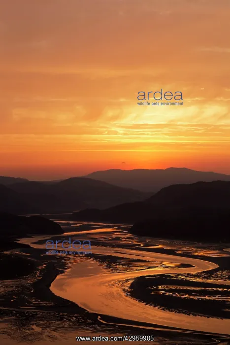: Mawddach Estuary - dawn colours above the estuary : Mawddach Estuary - dawn colours above the estuary
