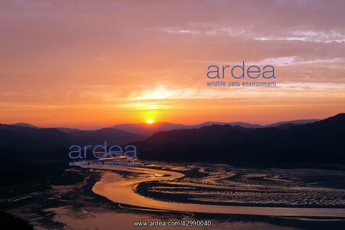: Mawddach Estuary - sunrise above the estuary while : Mawddach Estuary - sunrise above the estuary while