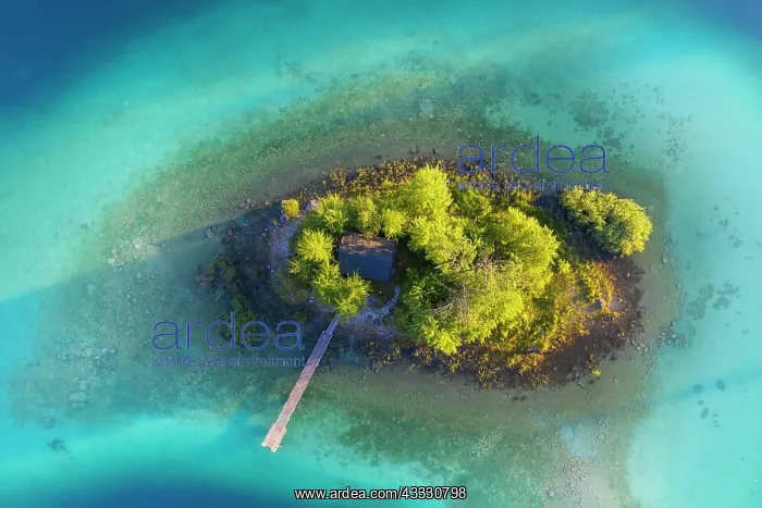 : Maximilian Island in Eibsee lake, near Grainau : Maximilian Island in Eibsee lake, near Grainau