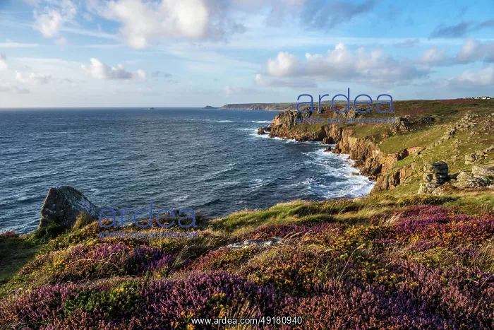 : Mayon Cliff - Land's End - Cornwall - UK : Mayon Cliff - Land's End - Cornwall - UK