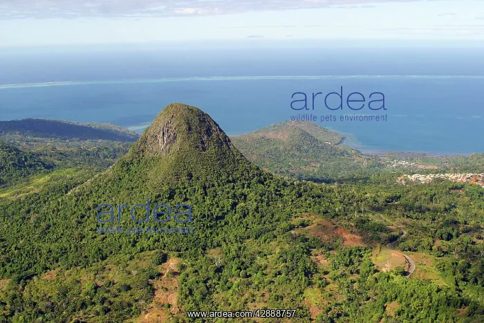 : Mayotte Island - Choungui : Mayotte Island - Choungui