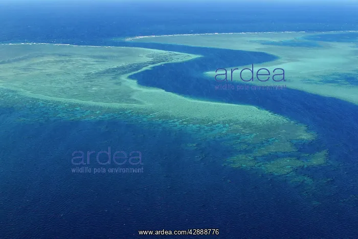  : Mayotte Island Indian Ocean