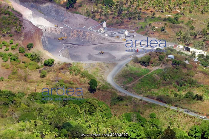 : Mayotte Island Indian Ocean : Mayotte Island Indian Ocean