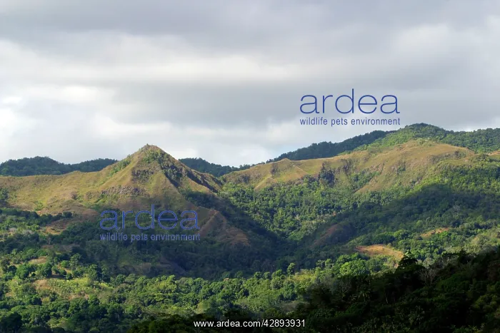  : Mayotte Island - north west, Indian Ocean