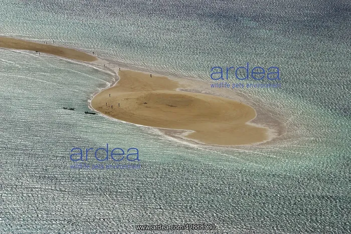 : Mayotte - little white sand Island : Mayotte - little white sand Island