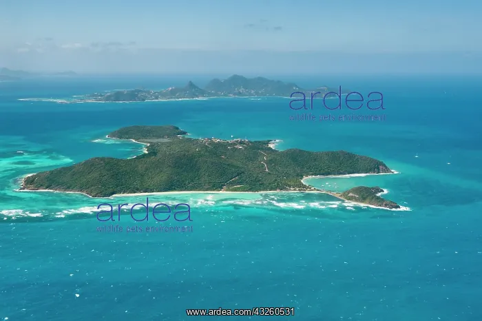 : Mayreau Island, St. Vincent and the Grenadines : Mayreau Island, St. Vincent and the Grenadines