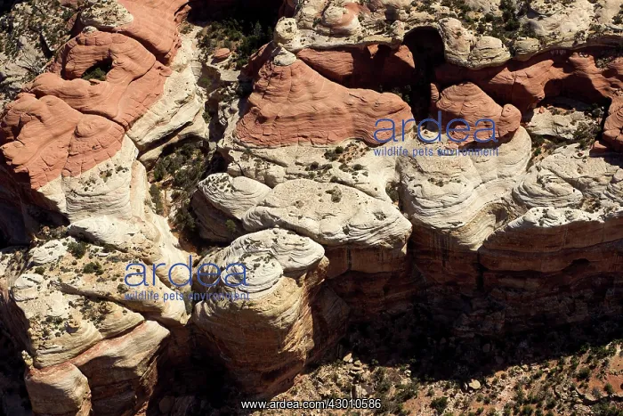 : The Maze Canyonlands National Park, Utah, USA : The Maze Canyonlands National Park, Utah, USA