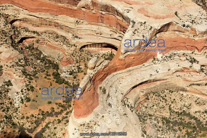 : The Maze Canyonlands National Park, Utah, USA : The Maze Canyonlands National Park, Utah, USA