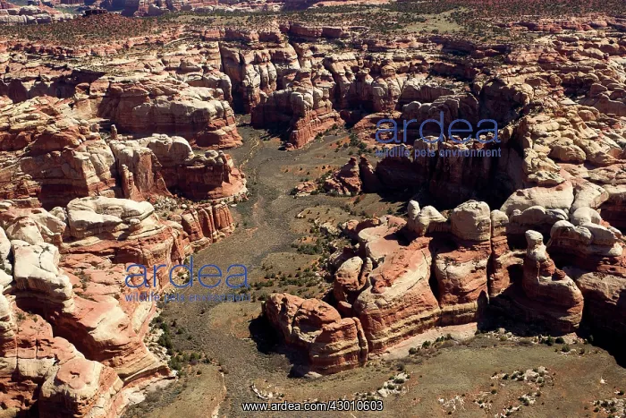 : The Maze Canyonlands National Park, Utah, USA : The Maze Canyonlands National Park, Utah, USA