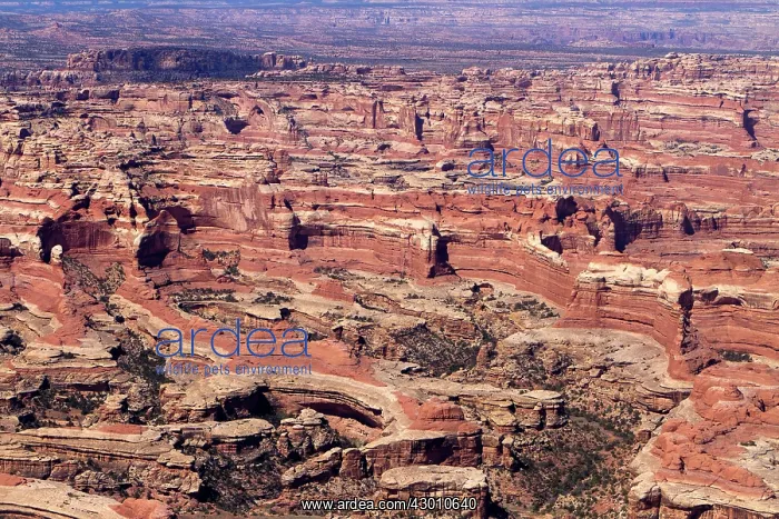 : The Maze Canyonlands National Park, Utah, USA : The Maze Canyonlands National Park, Utah, USA