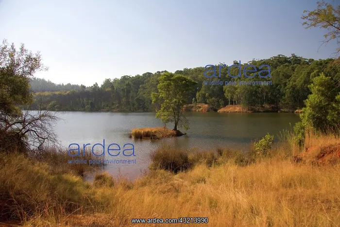 : Mbabane, Swaziland. Tranquil scenery in : Mbabane, Swaziland. Tranquil scenery in