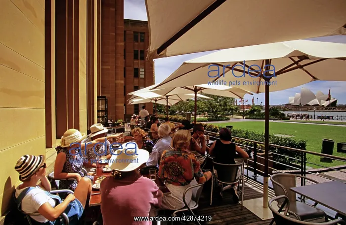 : MCA Cafe, breakfast (Musuem of Contemporary Art) : MCA Cafe, breakfast (Musuem of Contemporary Art)