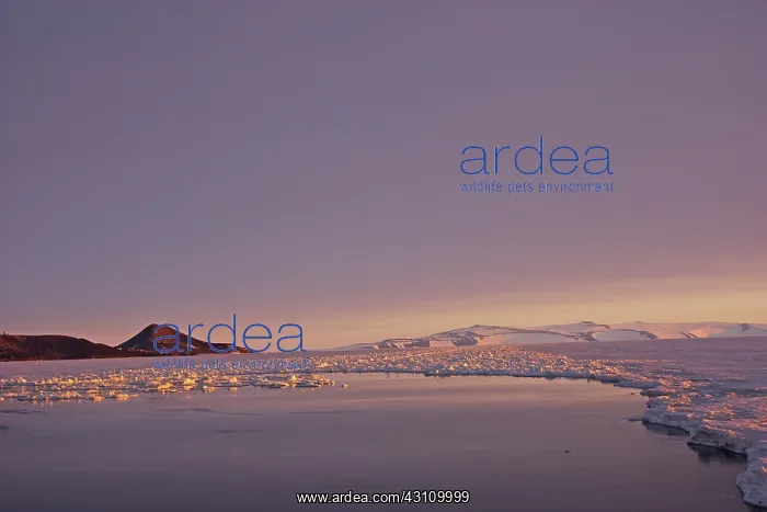 : McMurdo Sound and Ice Shelf : McMurdo Sound and Ice Shelf
