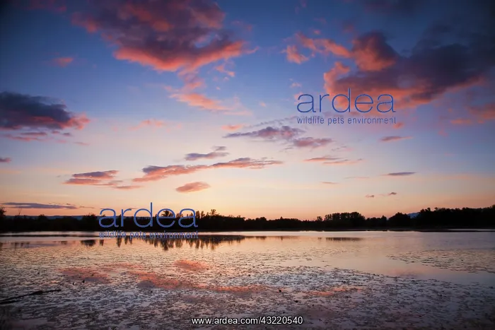 : McWenneger Slough reflects fiery sunsets : McWenneger Slough reflects fiery sunsets