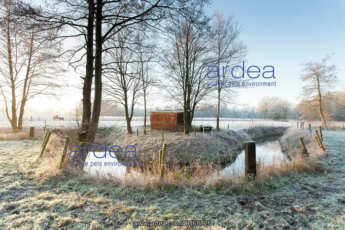 : Meander in farmland with farm shed and horses : Meander in farmland with farm shed and horses
