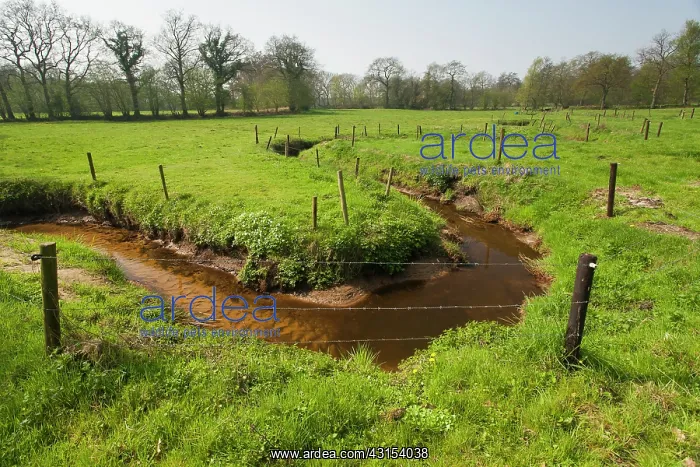 : Meander in grassland with fence poles : Meander in grassland with fence poles