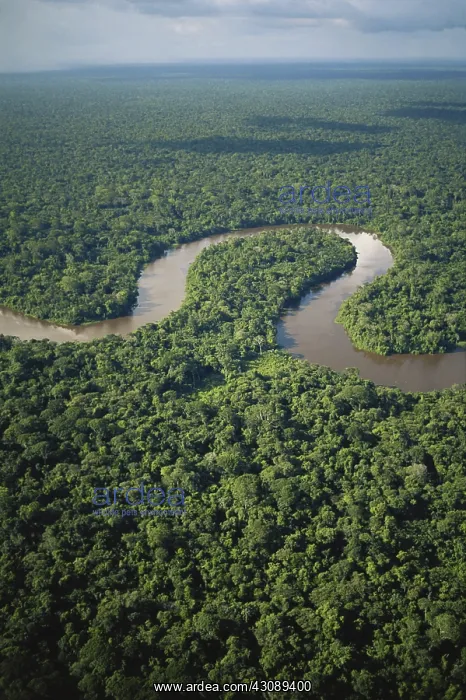 : Meandering River in Brazil : Meandering River in Brazil