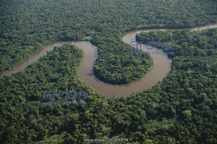 : Meandering River in Brazil : Meandering River in Brazil
