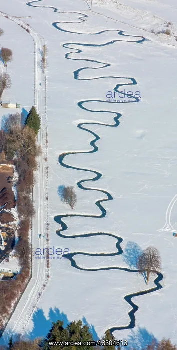 : Meandering river M&, x1a8ba5; in the snow, Hunderbecke : Meandering river M&, x1a8ba5; in the snow, Hunderbecke