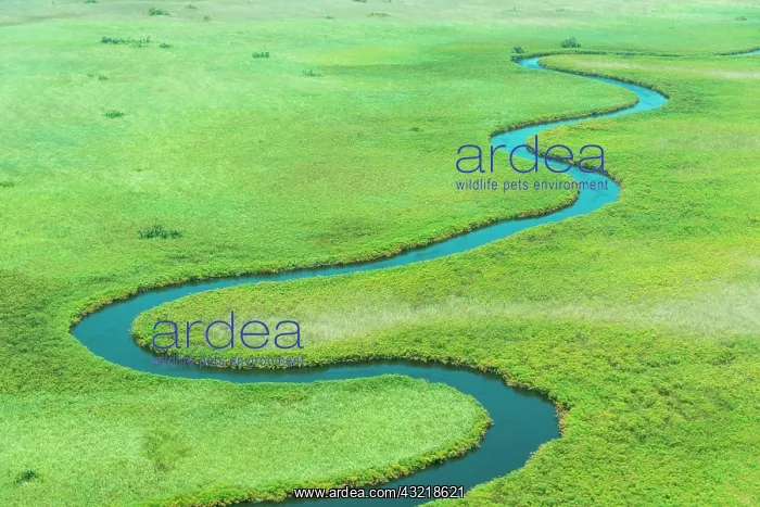 : Meandering River, Okavango Delta, Botswana, Africa : Meandering River, Okavango Delta, Botswana, Africa