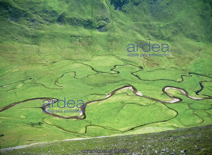 : Meandering RIVERS - in mountain valley : Meandering RIVERS - in mountain valley