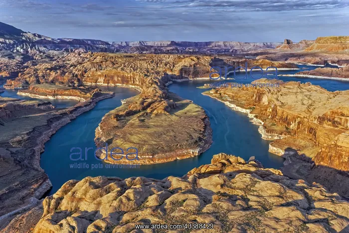 : Meandering Waters of Glen Canyon, Lake Powell, USA : Meandering Waters of Glen Canyon, Lake Powell, USA