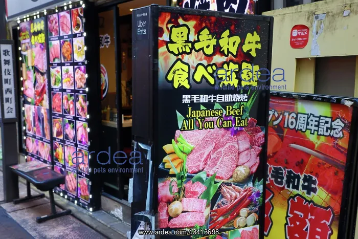 : Meat restaurant signs in Kabukicho in Shinjuku, Tokyo, Japan : Meat restaurant signs in Kabukicho in Shinjuku, Tokyo, Japan