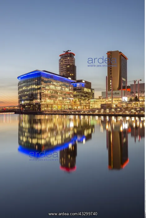 : MediaCityUK and the BBC Studios at Night, Salford : MediaCityUK and the BBC Studios at Night, Salford