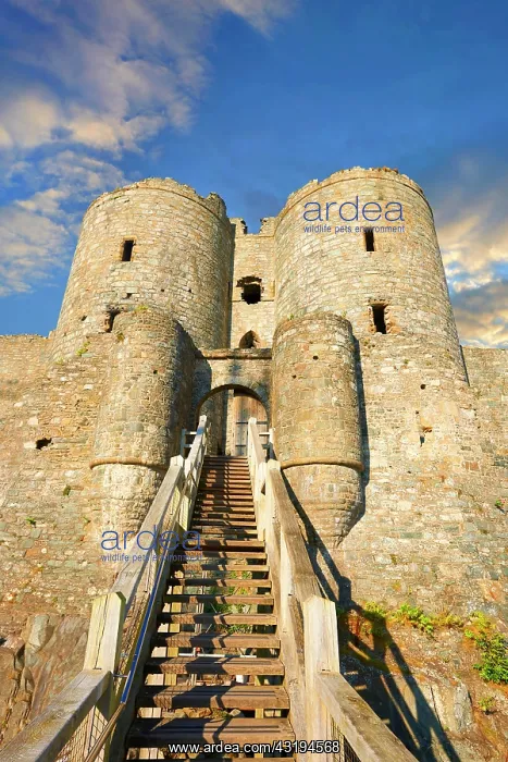 : Medieval Harlech Castle, 1282, Wales, United Kingdom : Medieval Harlech Castle, 1282, Wales, United Kingdom