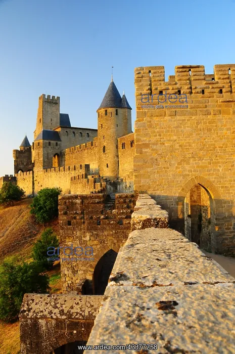 : Medieval old town of Carcassonne, in the department : Medieval old town of Carcassonne, in the department