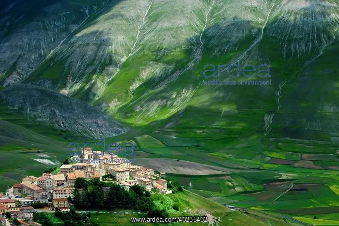 : Medieval town of Castelluccio in the Monti : Medieval town of Castelluccio in the Monti