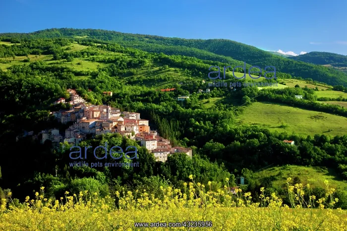 : The medieval town of Preci in the Valnerina : The medieval town of Preci in the Valnerina