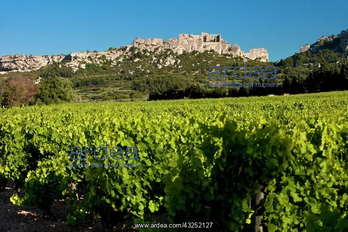 : Medieval village of Les Baux perched on : Medieval village of Les Baux perched on