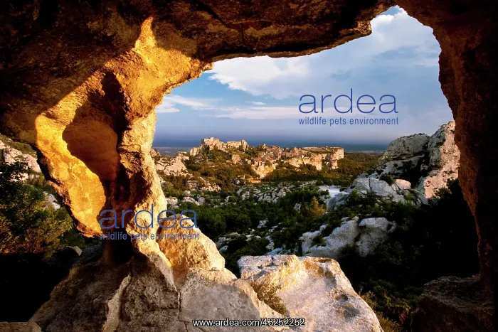  : Medieval village of Les Baux viewed through